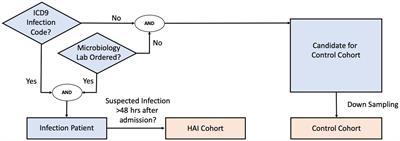 Machine learning-based clinical decision support for infection risk prediction